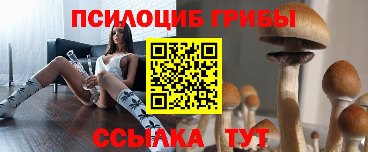 Галлюциногенные грибы прущие грибы  Вход с VPN  Славгород 